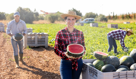 Farmer posing in field with watermelons cropの写真素材