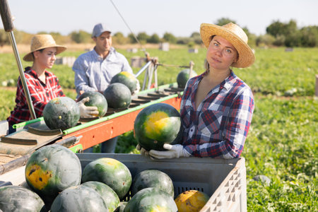 Portrait of smiling woman watermelon plantation workerの写真素材