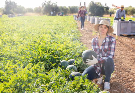 Satisfied woman farmer with watermelon in her hands on farmer fieldの写真素材
