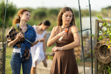 Women spray mosquito repellent on their legs and arms while working in farm and gardenの写真素材