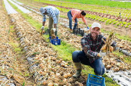 Smiling man farmer picking onion on field