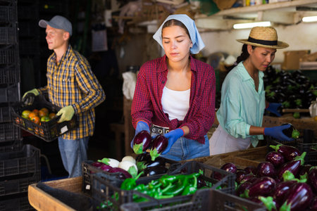 Three workers in vegetable warehouseの写真素材