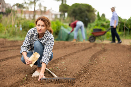 Woman plants berry and vegetable seeds in ground in garden bedの写真素材