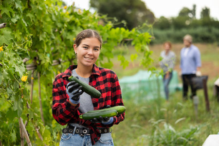 Young woman harvesting cucumbers with her family in fieldの写真素材