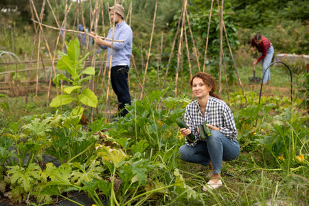 Portrait of happy woman with harvest of cucumbers in her hands in fieldの写真素材
