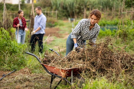 Woman takes out bunch of branches, puts in wheelbarrow