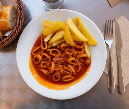 Calamari rings braised in American sauce with friesの写真素材