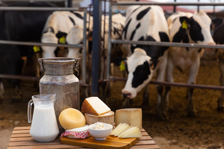 Dairy farm - table with dairy products in background of cows in stallの写真素材