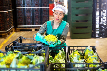 Woman checking quality of green cauliflower in vegetable factory