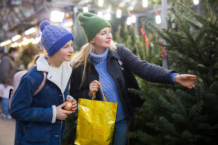 Smiling teen girl with mother choosing fir tree for New Year celebrationの写真素材