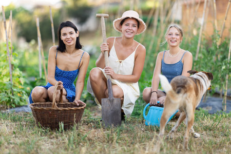 Three girls with gardening tools things and mongrel dog near garden bedの写真素材