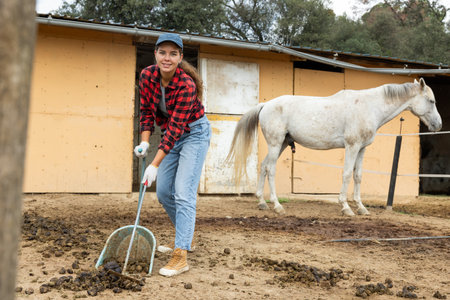 Girl worker scoops horse droppings into shovel and cleans up cattleの写真素材