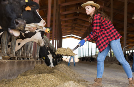 Portrait of a young concentrated girl working in a cowshed