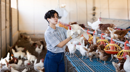 Hispanic woman poultry farm owner examining laying hens in coopの写真素材