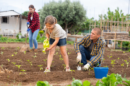 Daughter helps father clean weeds in garden beds closeupの写真素材