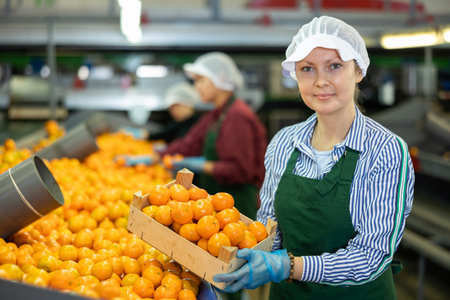 Smiling female citrus sorting factory worker with box of mandarinsの写真素材