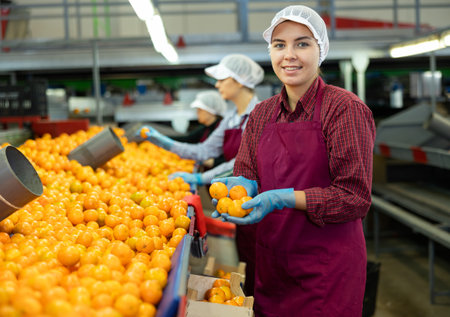 Smiling young girl working on mandarins sorting factoryの写真素材