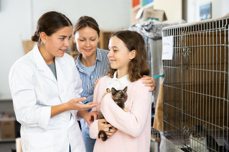 Female volunteer talking to family choosing kitten for adoptionの写真素材