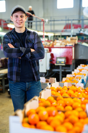 Positive male employee in a warehouse next to boxes of fresh tangerines prepared for sale in a store.の写真素材