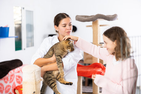 Preteen girl petting gray tabby cat in hands of female shelter workerの写真素材
