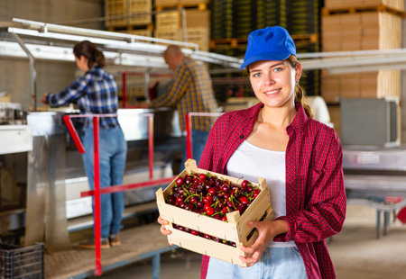 Positive girl farmer stands in warehouse holding a crate of cherries
