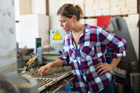 Female worker monitors work of a conveyor for planting seeds of seedlings