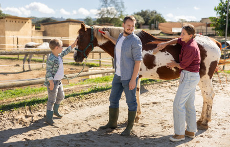 Man, woman and boy stroking and combing horseの写真素材