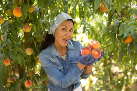 Woman with bunch of peachesの写真素材
