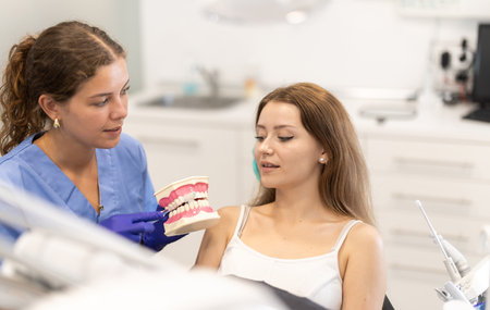Female dentist tells a client about dental care and shows a model of the jawの写真素材