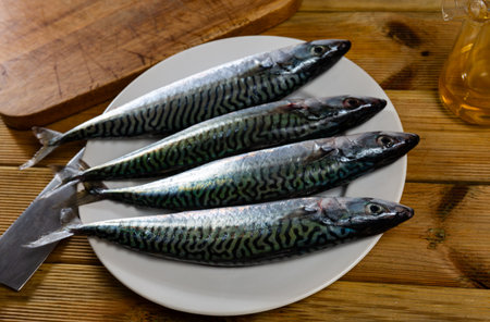 Raw mackerel fish served to tableの写真素材