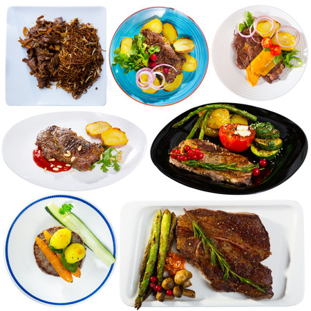 Collection of dishes of veal on white backgroundの写真素材