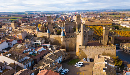 Aerial view of castle Palacio Real de Olite. Navarre. Spainの写真素材