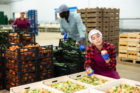 Young farmer woman inspects freshly picked tomatoesの写真素材