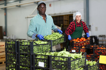 African american man puts crates of pea pods on top of each otherの写真素材
