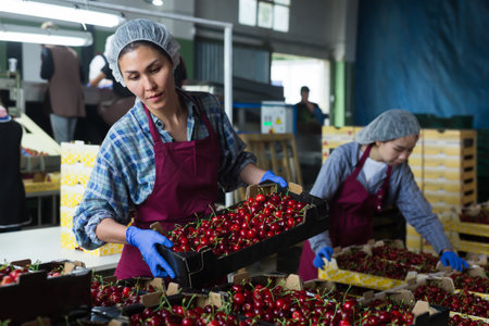 Women are working in warehouseの写真素材