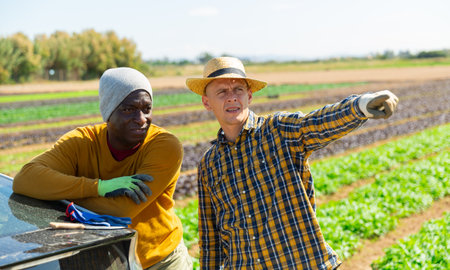 African american grower talking to partner near car on farm field pointing to something in summer dayの写真素材