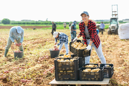 Woman farmer carrying crate with potato crop
