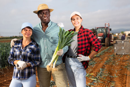 Happy male and female farmers standing in field during leek harvestの写真素材