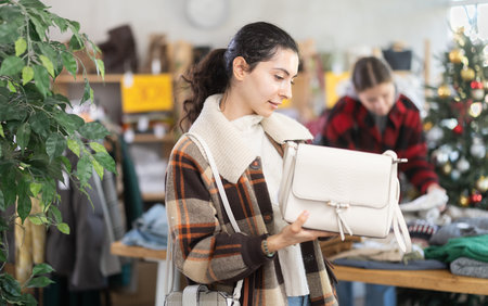 Armenian woman stands in a shop decorated for Christmas and chooses a handbagの写真素材