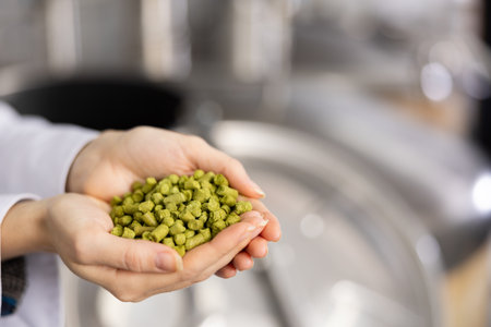 Handful of granulated hops in hands of female brewmasterの写真素材