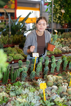 Woman works as auxiliary worker in plant store, review cactus seedlingの写真素材