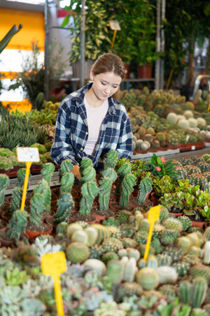 Girl works as auxiliary worker in plant store warehouse, review cactus seedlingの写真素材