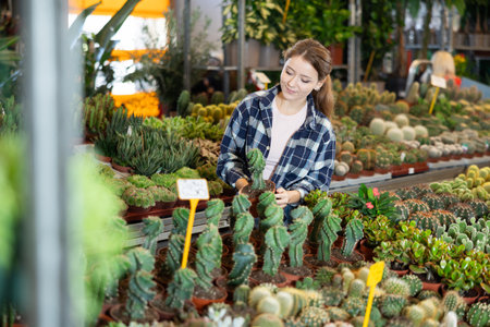 Female florist tends to a cactus in flower shopの写真素材