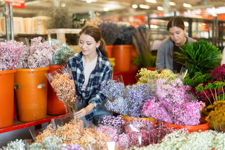 Girl visitor examines bunches of gypsophila, selects flowersの写真素材