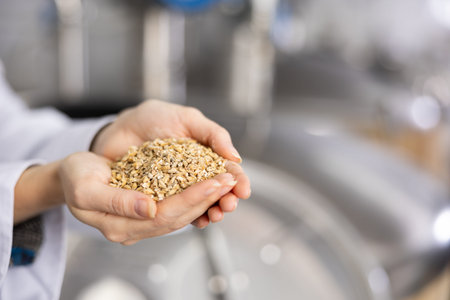 Hands of brewmaster holding bunch of malt seeds