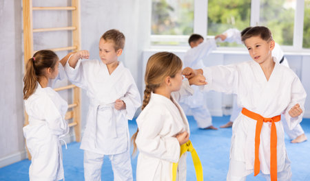 Karate students engage in sparringの写真素材