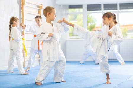 Young pupils train to perform defensive karate installations and attacking combat techniquesの写真素材