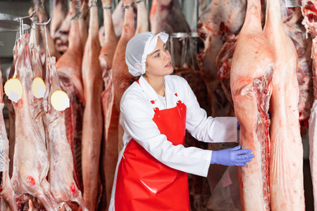 Female slaughterhouse worker looking at pig carcass in meat storage