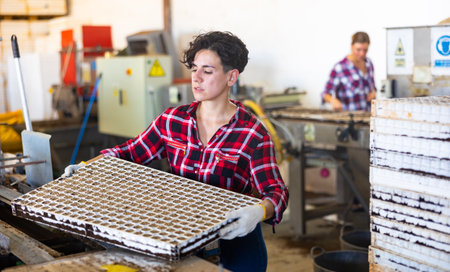 Experienced woman taking out trays with earth and seeds from automatic filling and seeding line for growing containerized seedlings of decorative plants in greenhouseの写真素材