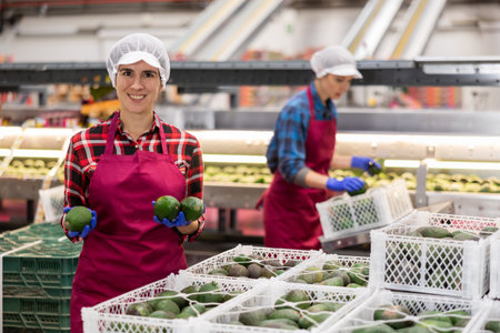 Smiling Hispanic woman checking ripe avocados in boxesの写真素材